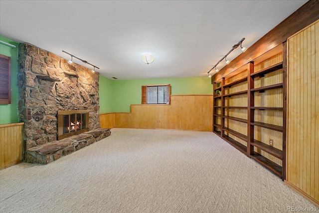 below grade area with track lighting, wood walls, and a wainscoted wall