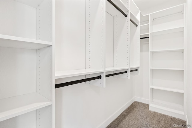 3295 Lawrence St, Denver, CO 80205 - walk in closet featuring carpet flooring and a barn door