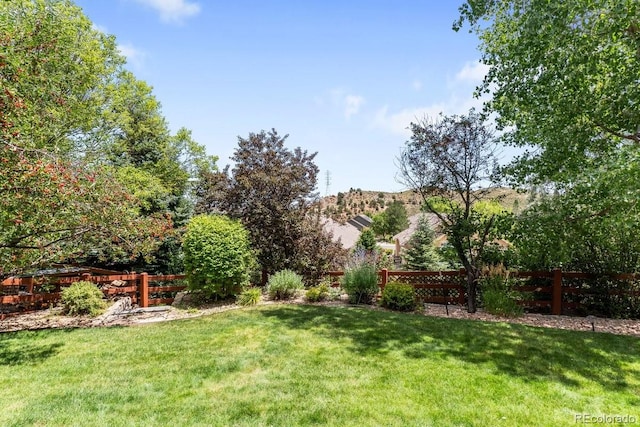 828 Rabbit Run Dr, Golden, CO 80401 - photo 33