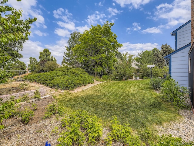 7296 S Flower St, Littleton, CO 80128 - photo 26
