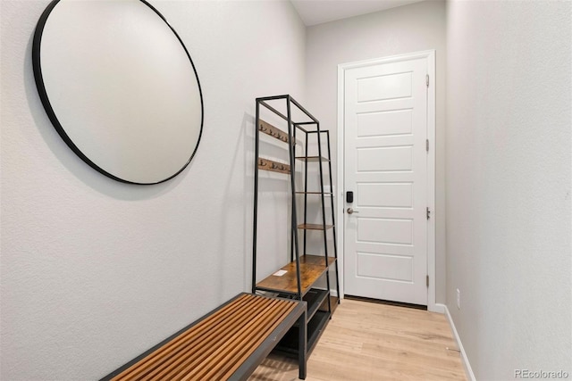 10533 Oncilla Ln, Lone Tree, CO 80124 - photo 20