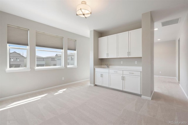 10533 Oncilla Ln, Lone Tree, CO 80124 - photo 25