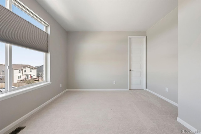 10533 Oncilla Ln, Lone Tree, CO 80124 - photo 35