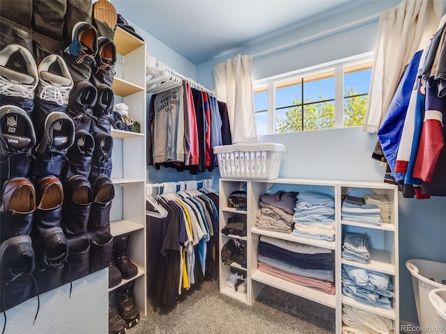 spacious closet featuring carpet