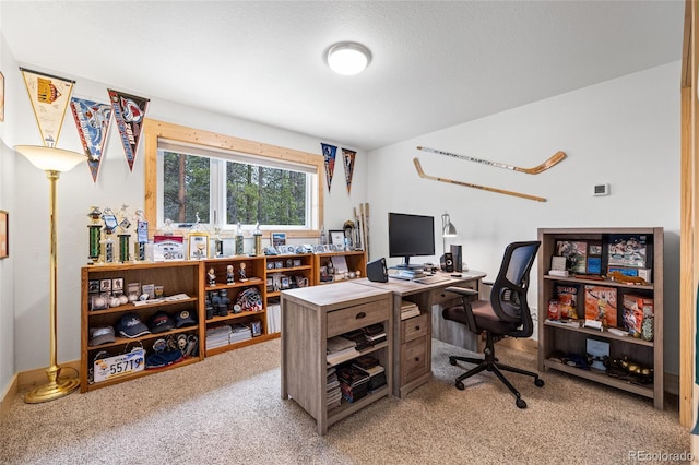 94 Foxtail Cir, Black Hawk, CO 80422 - photo 10