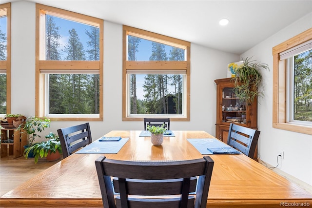 94 Foxtail Cir, Black Hawk, CO 80422 - photo 11
