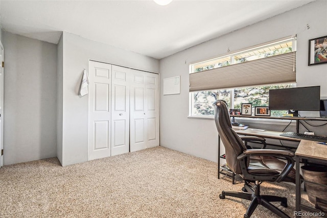 view of carpeted home office