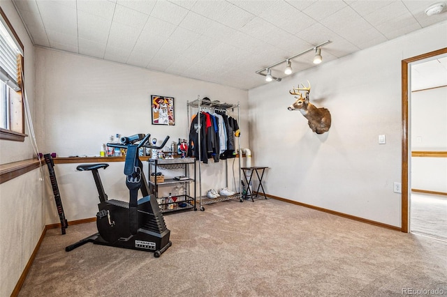 exercise area featuring rail lighting, baseboards, and carpet floors