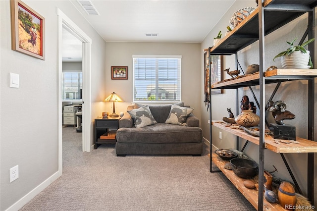 1938 Knobby Pine Dr, Fort Collins, CO 80528 - photo 12