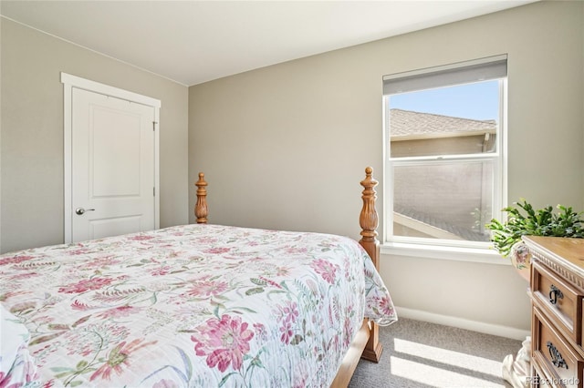 1938 Knobby Pine Dr, Fort Collins, CO 80528 - photo 20