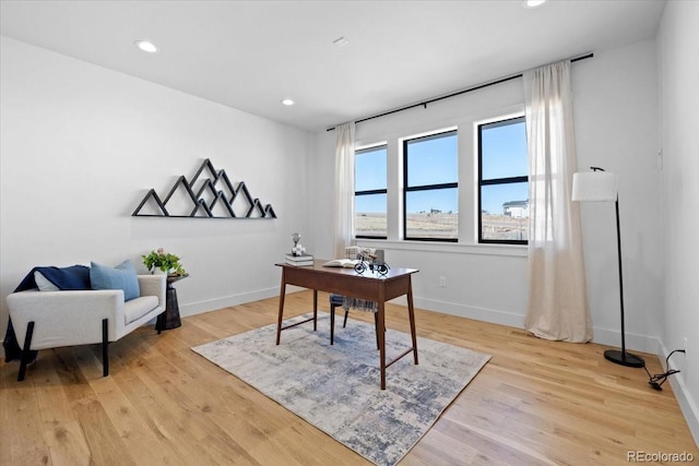 home office featuring light wood-type flooring