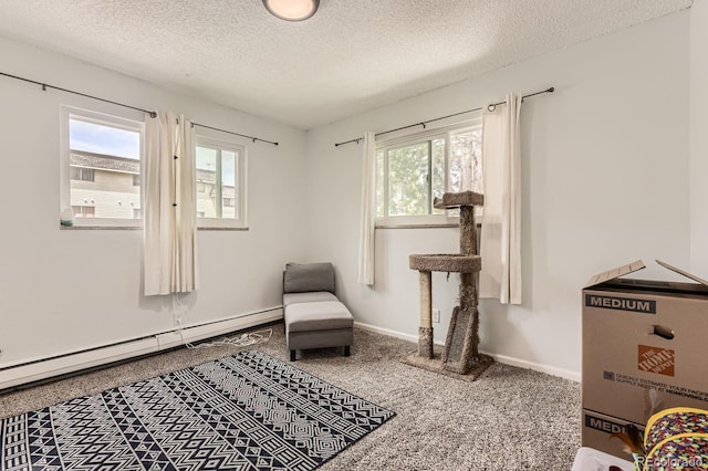 4653 S Lowell Blvd Unit E, Denver, CO 80236 - sitting room with a baseboard radiator, plenty of natural light, a textured ceiling, carpet floors, and baseboards