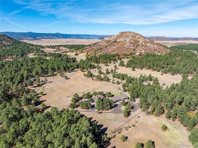 drone / aerial view with a mountain view