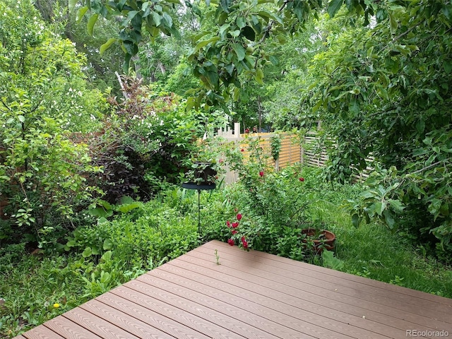 4009 Wonderland Hill Ave, Boulder, CO 80304 - view of wooden terrace