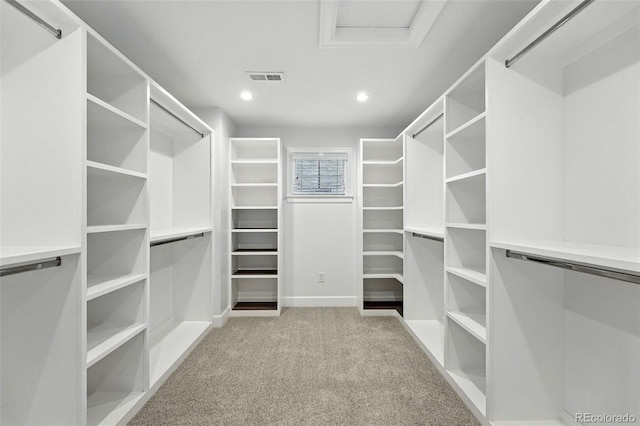 474 S Vine St, Denver, CO 80209 - walk in closet with attic access and carpet floors