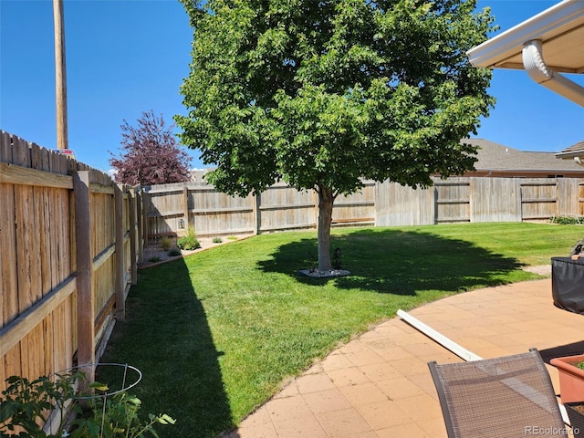 view of yard with a patio