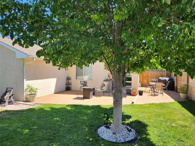 view of yard with a patio area