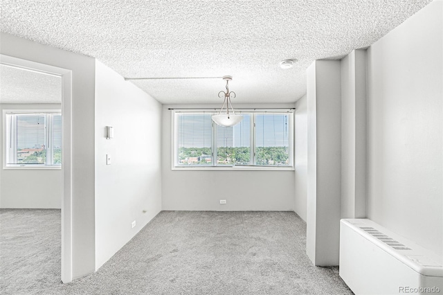 2225 Buchtel Blvd Unit 1005, Denver, CO 80210 - unfurnished room with carpet floors, a textured ceiling, and a smoke detector