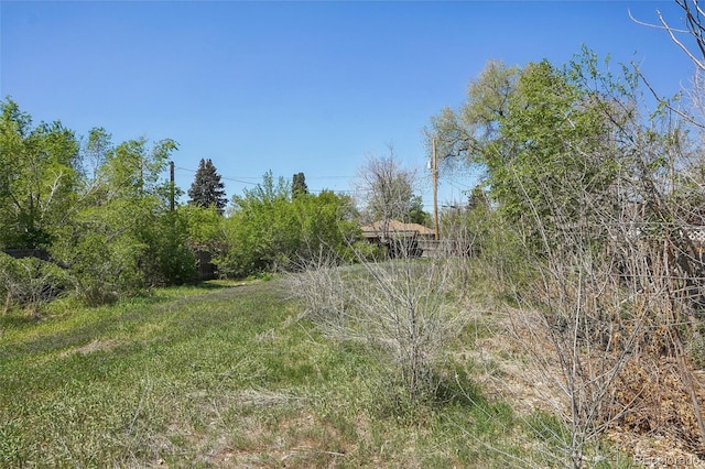 2125 Pontiac St, Denver, CO 80207