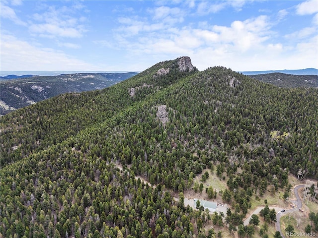 26273 Richmond Hill Rd, Conifer, CO 80443
