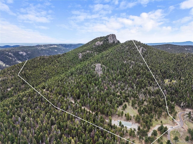 26273 Richmond Hill Rd, Conifer, CO 80443
