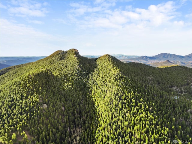 26273 Richmond Hill Rd, Conifer, CO 80443