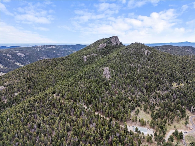 26273 Richmond Hill Rd, Conifer, CO 80443