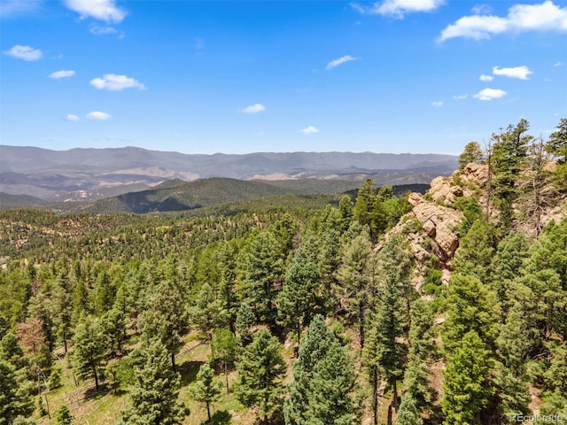 26273 Richmond Hill Rd, Conifer, CO 80443