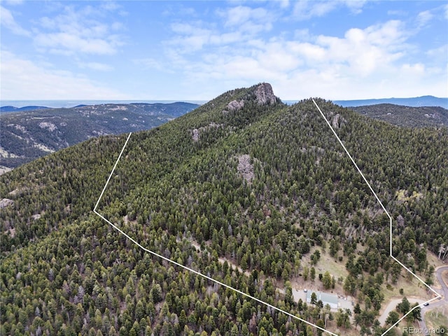 26273 Richmond Hill Rd, Conifer, CO 80443