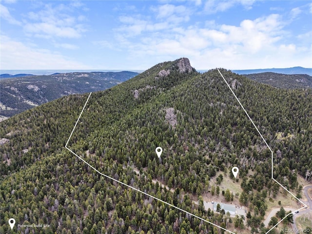 26273 Richmond Hill Rd, Conifer, CO 80443