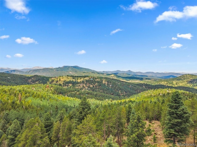 26273 Richmond Hill Rd, Conifer, CO 80443