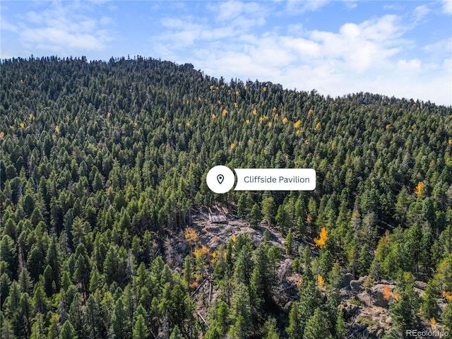 26273 Richmond Hill Rd, Conifer, CO 80443