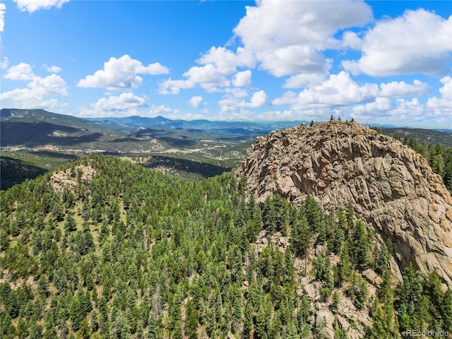 26273 Richmond Hill Rd, Conifer, CO 80443