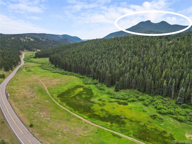 26273 Richmond Hill Rd, Conifer, CO 80443