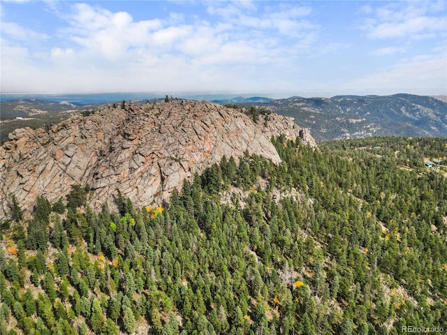 26273 Richmond Hill Rd, Conifer, CO 80443