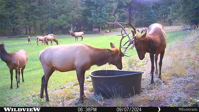 26273 Richmond Hill Rd, Conifer, CO 80443