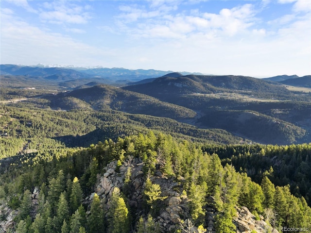 26273 Richmond Hill Rd, Conifer, CO 80443