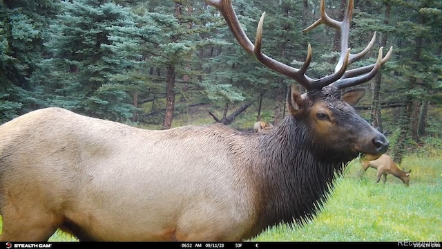 26273 Richmond Hill Rd, Conifer, CO 80443