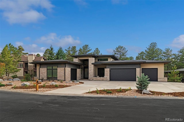 2596 Saddleback Dr, Castle Rock, CO 80104 - photo 47