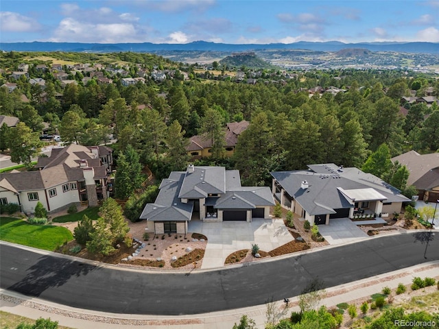 2596 Saddleback Dr, Castle Rock, CO 80104 - photo 49