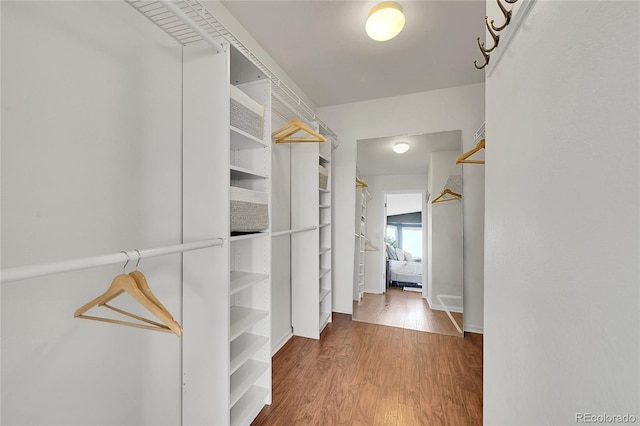2251 Linden Pl, Erie, CO 80516 - photo 23