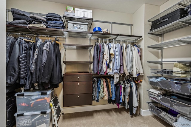 9244 E 37th Ave, Denver, CO 80238 - walk in closet with carpet flooring