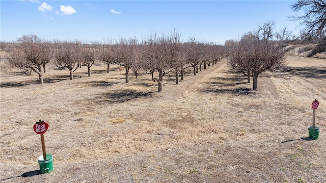 view of landscape featuring a rural view