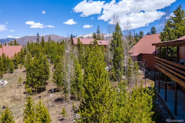 1295 Gcr 49, Grand Lake, CO 80447 - mountain view