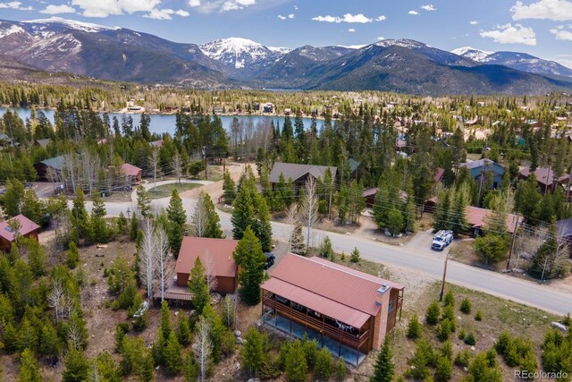 1295 Gcr 49, Grand Lake, CO 80447 - bird's eye view of a water and mountain view