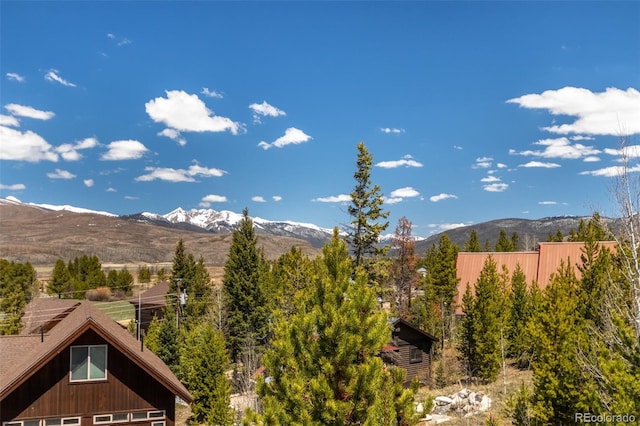 1295 Gcr 49, Grand Lake, CO 80447 - view of mountain backdrop