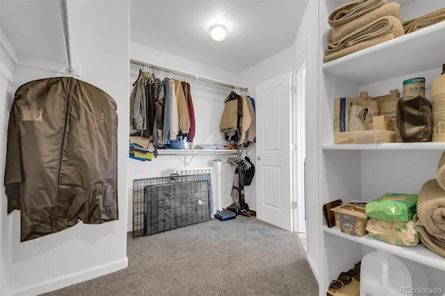 spacious closet with carpet flooring