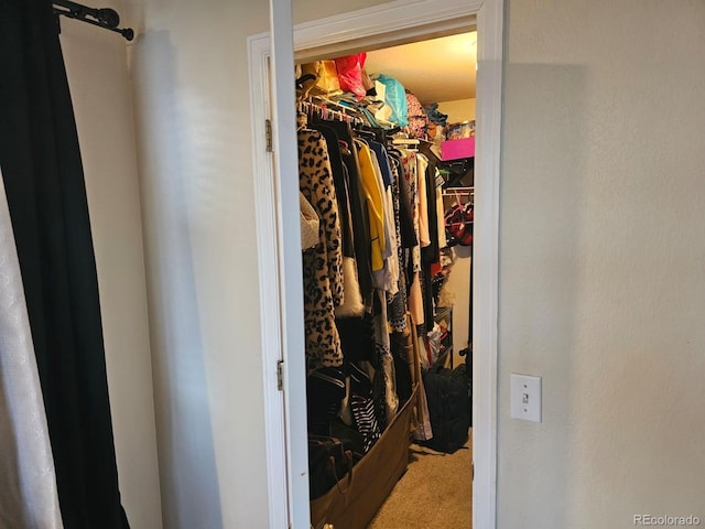 19939 Mitchell Cir, Denver, CO 80249 - spacious closet with carpet floors
