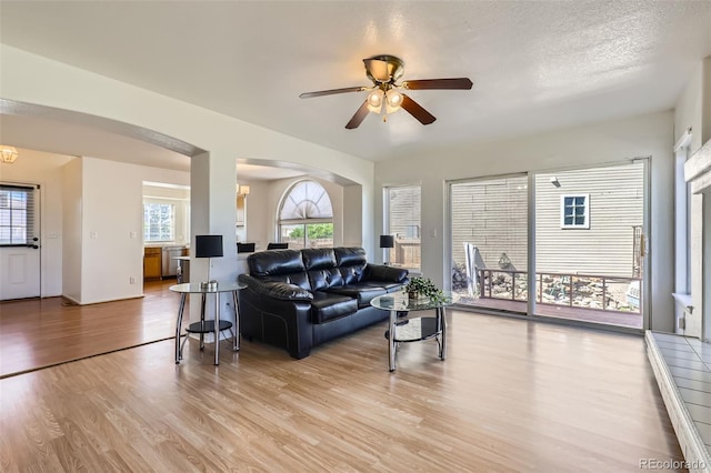 19939 Mitchell Cir, Denver, CO 80249 - photo 3