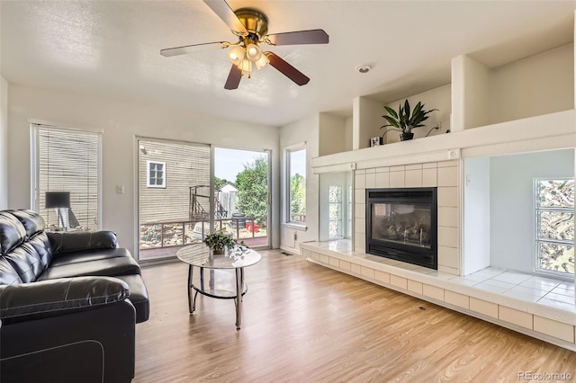 19939 Mitchell Cir, Denver, CO 80249 - photo 4